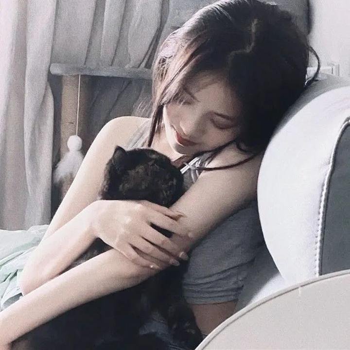 圆盘皇女 十二月夜想曲